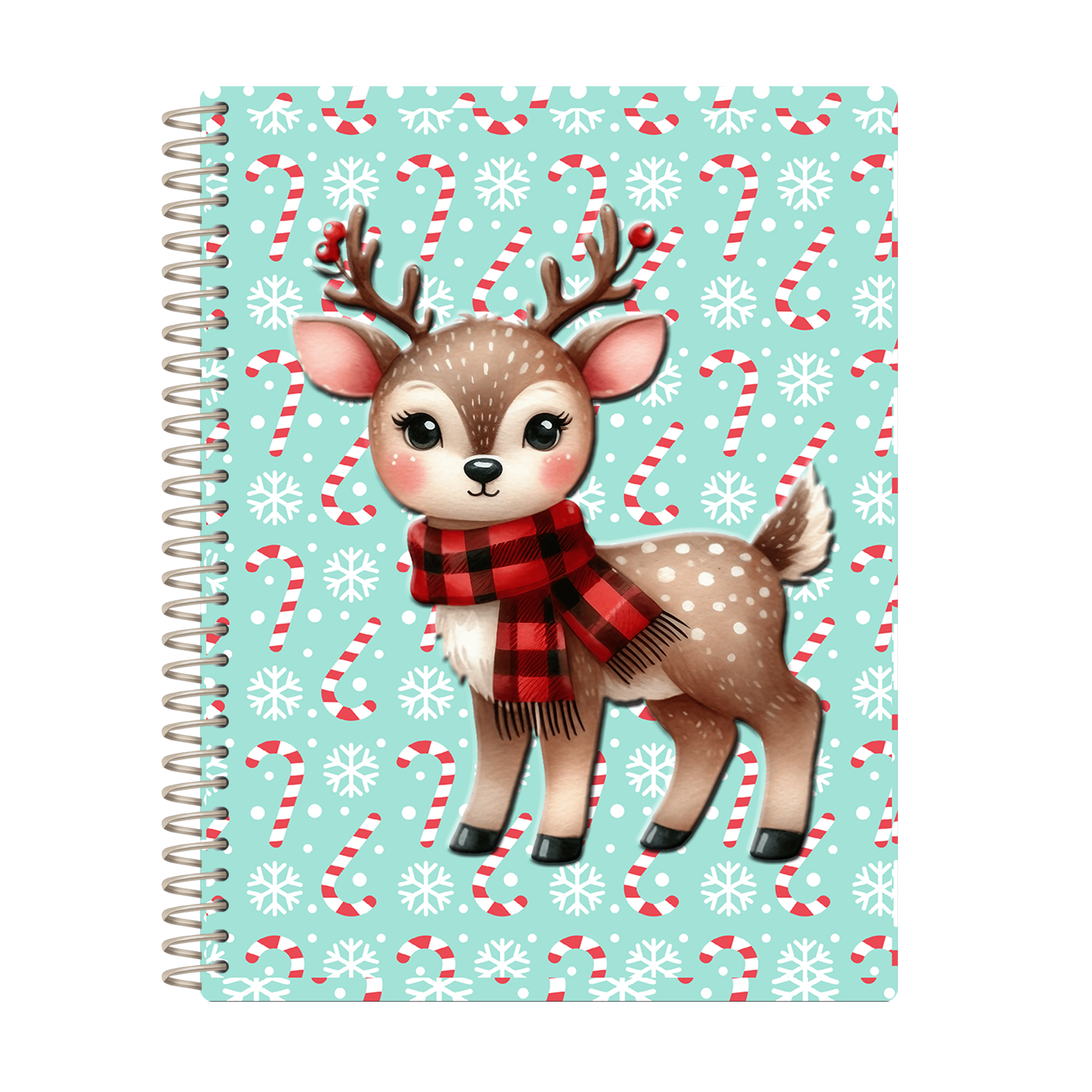 Christmas Colorbook 16 _ Teal Candy Cane Deer
