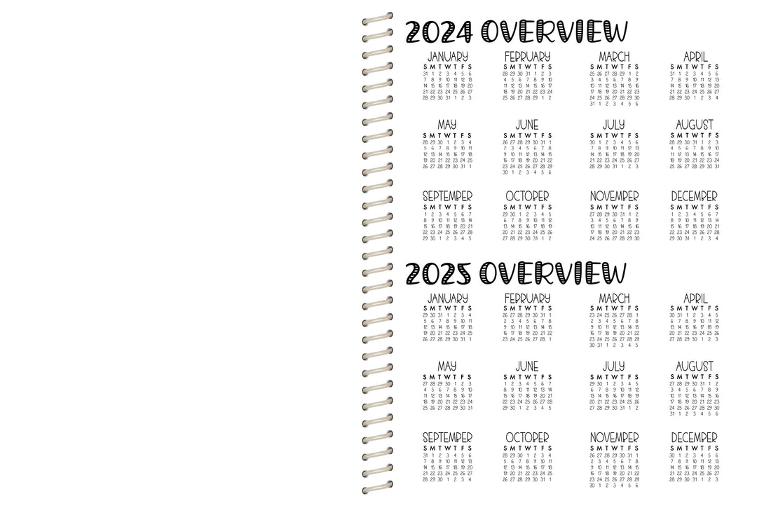 Cake Co. Sales Planner - AQUA SERAPE