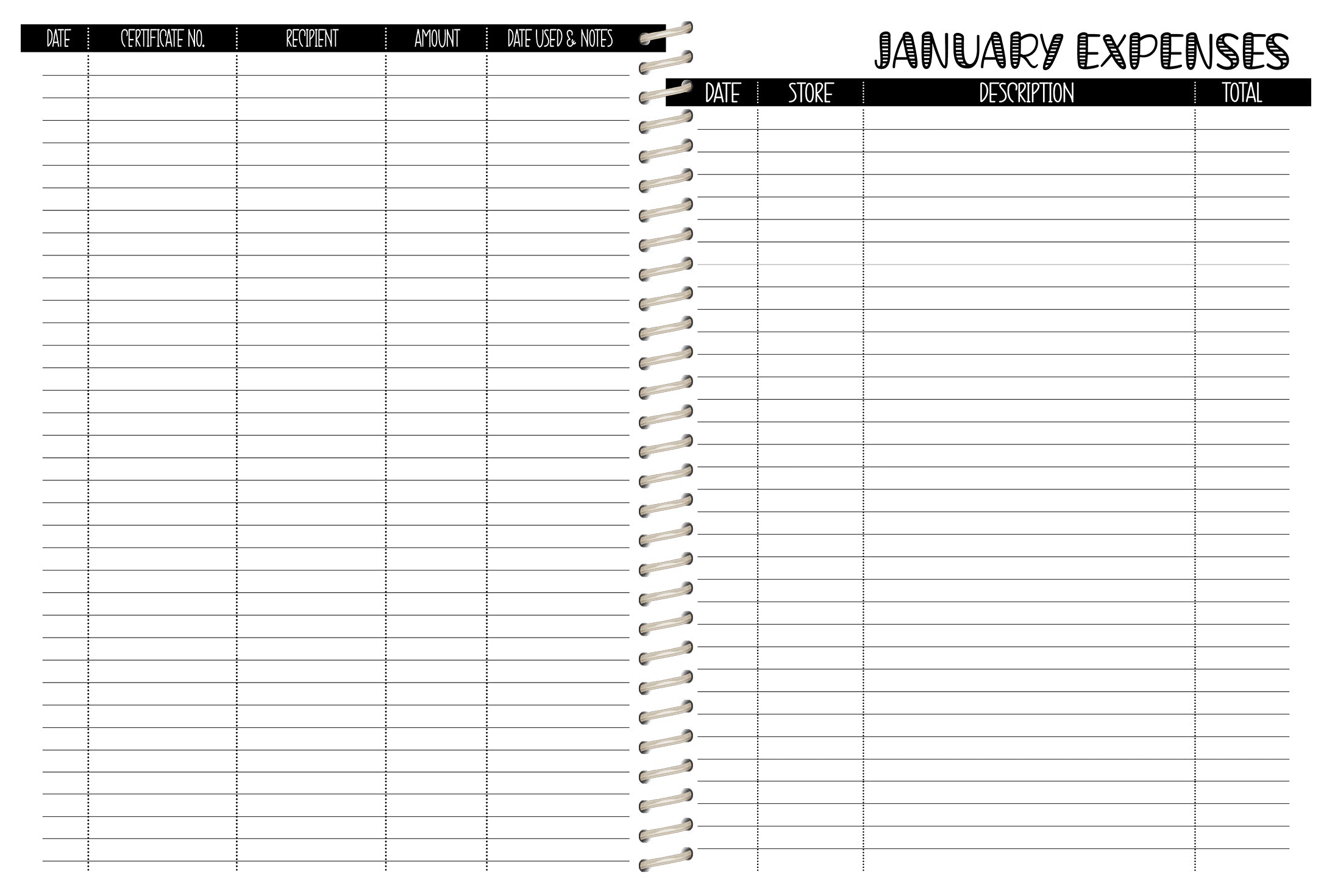 Cake Co. Sales Planner - JD ANIMAL 1