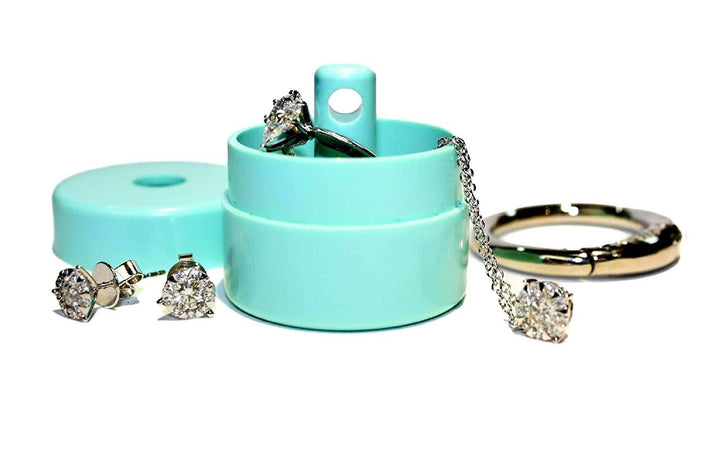 Mint Lion Latch Jewelry/Pill Tote