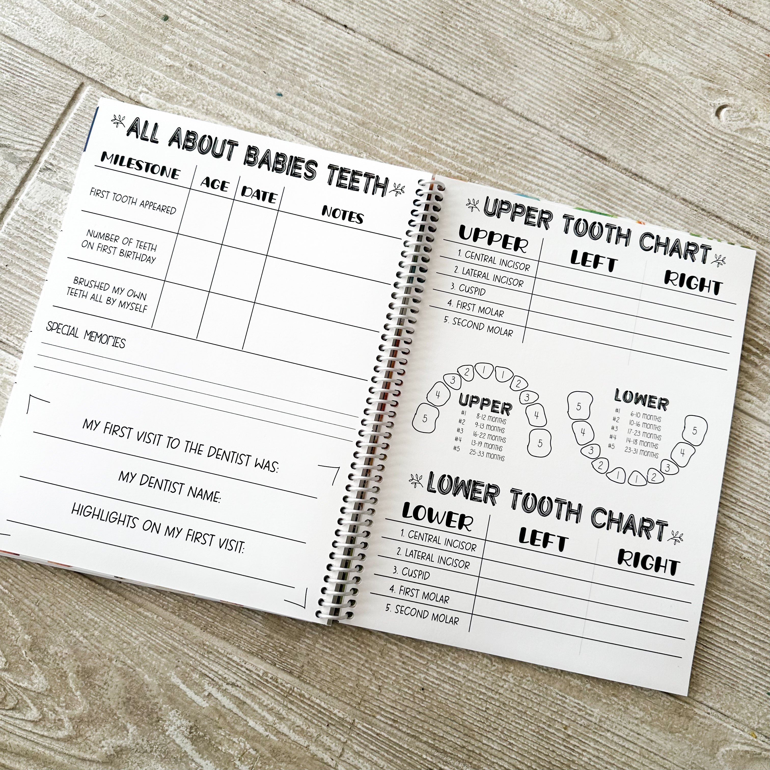 Baby Book - DINO