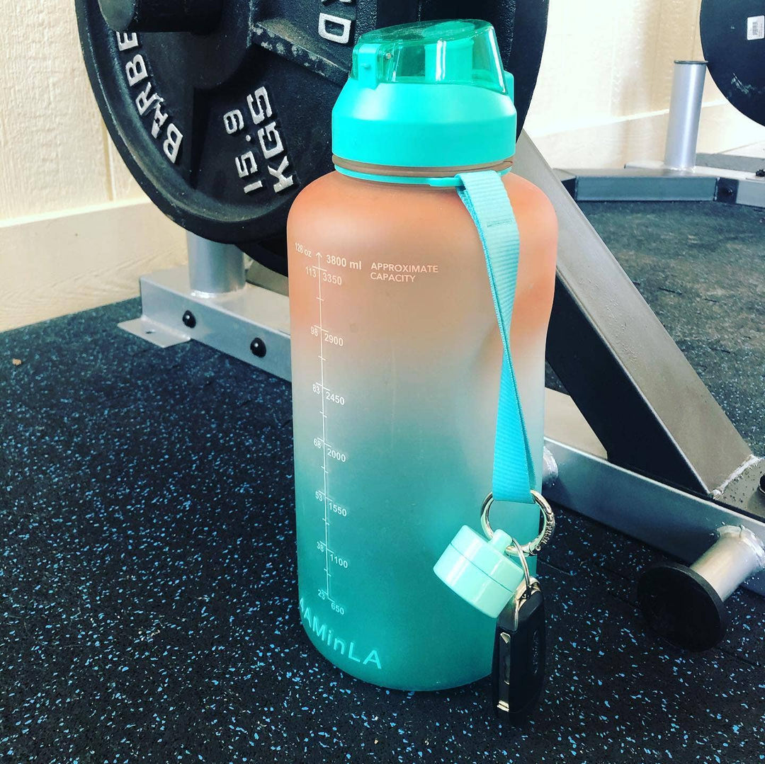 Mint Lion Latch Jewelry/Pill Tote