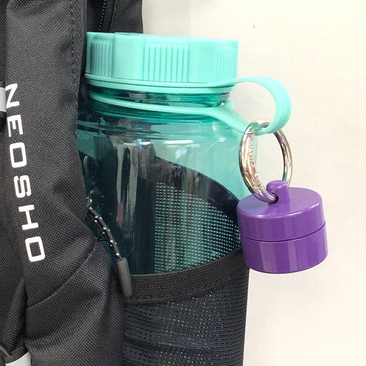 Purple Lion Latch Jewelry/Pill Tote