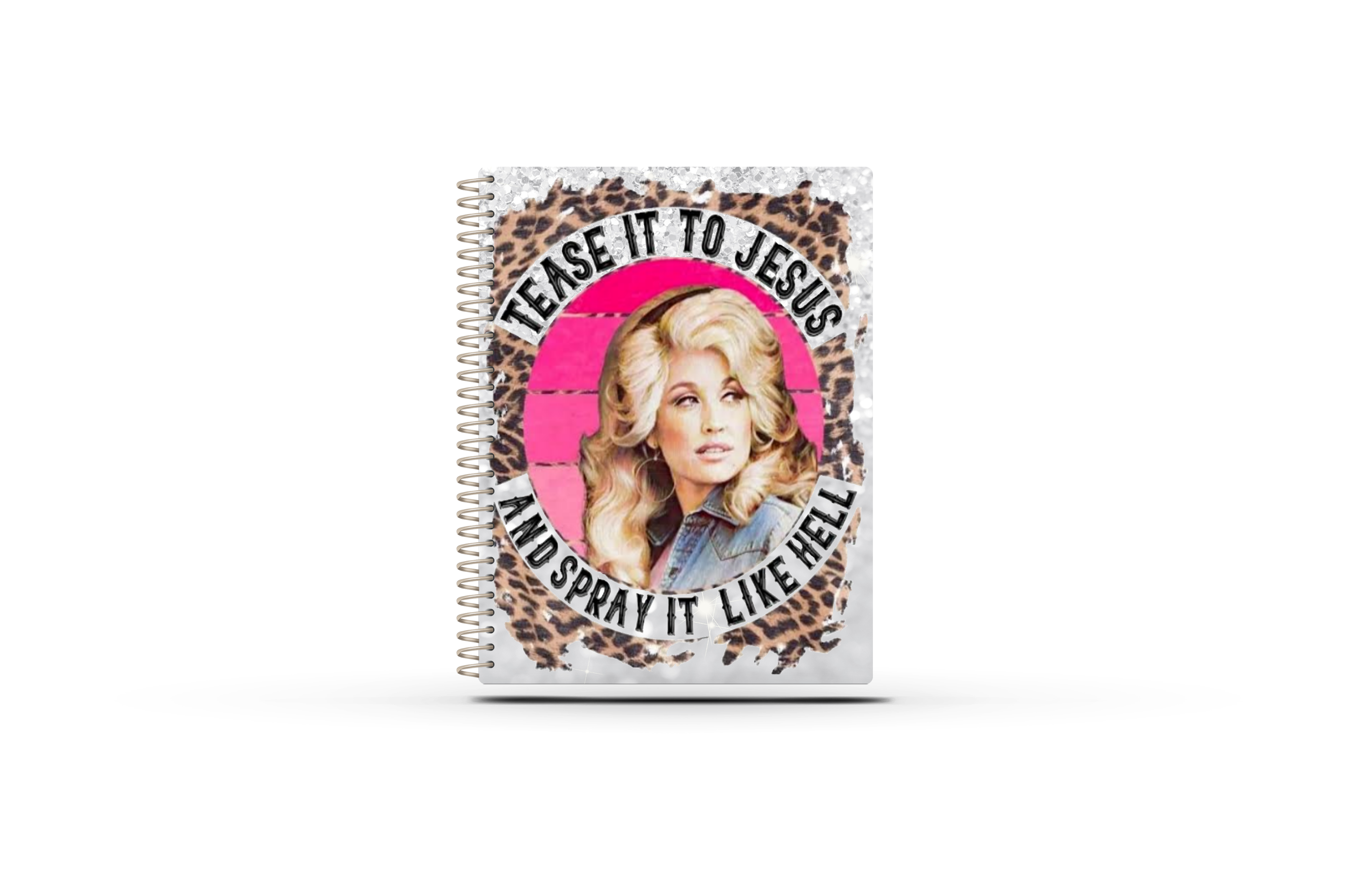 Lindsay VS Appointment Book - TEASE IT